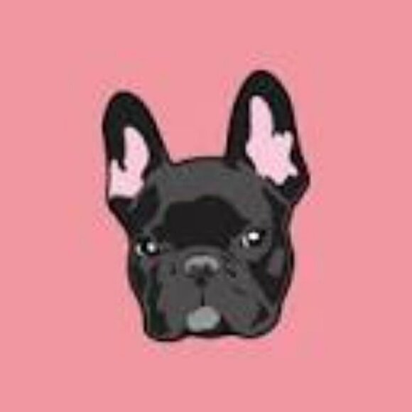Frenchie Black  T-Shirt Size M - Picture 2 of 6